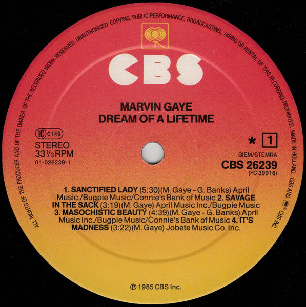 Dream Of A Lifetime