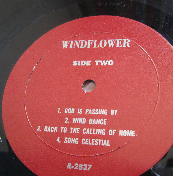 Windflower