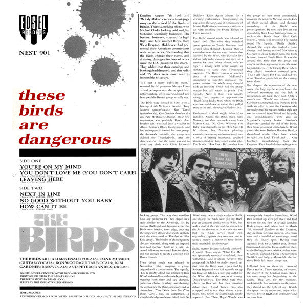 Master Release: These Birds Are Dangerous by The Birds