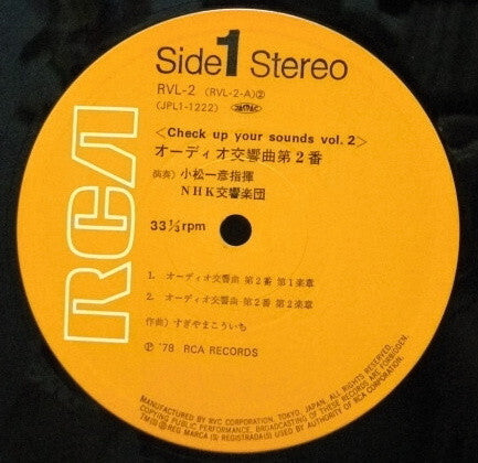 Audio Symphony No.2 (Check Up Your Sounds Vol.2) = オーテイオ交響曲・II