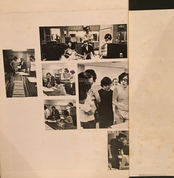 The Brilliant Dimension Of Terry