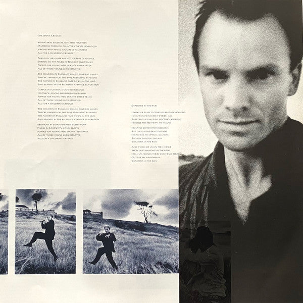 The Dream Of The Blue Turtles