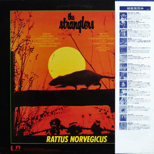 Stranglers IV (Rattus Norvegicus)