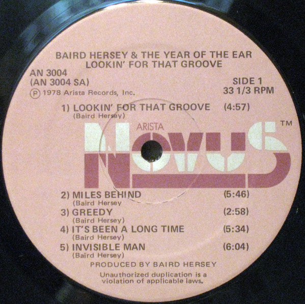 Lookin' For That Groove