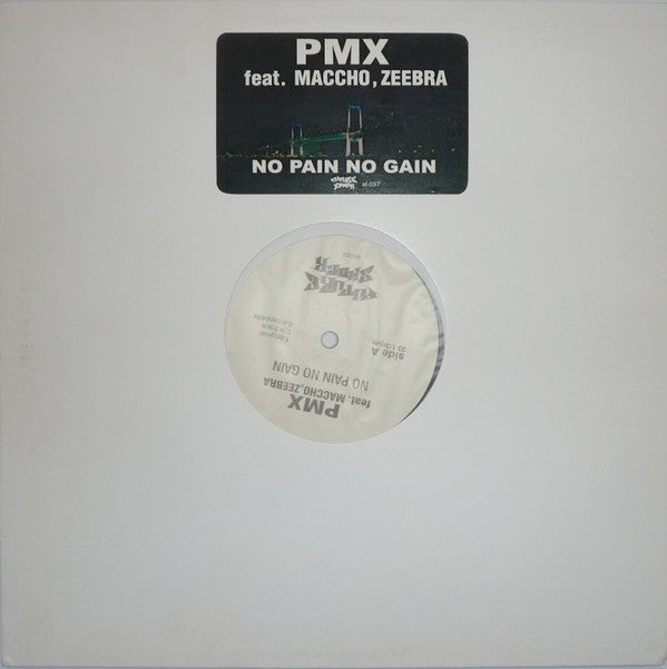 Master Release: No Pain No Gain by DJ PMX