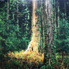 Ken Muramatsu - 夏のぽけっとに (Vinyl, LP, Album) Very Good Plus (VG+) / Very Good Plus (VG+)