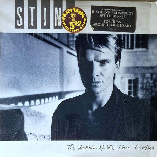 The Dream Of The Blue Turtles