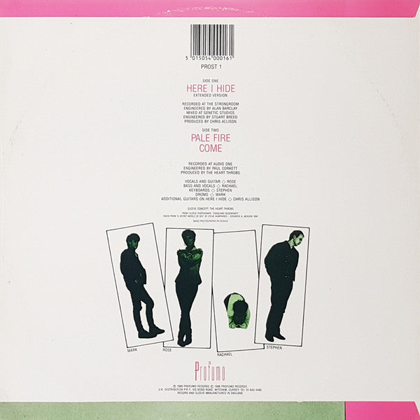 Master Release: Here I Hide by The Heart Throbs