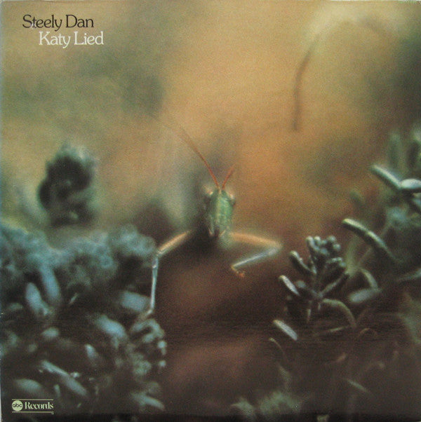 Katy Lied