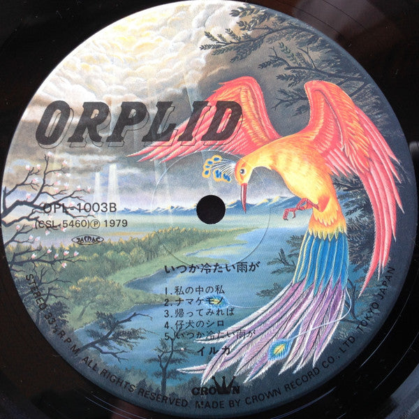 いつか冷たい雨が