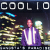 Coolio - Gangsta's Paradise (Vinyl, LP, Album) Very Good (VG) / Very Good Plus (VG+)