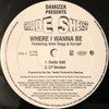 Damizza - Where I Wanna Be (Vinyl, 12