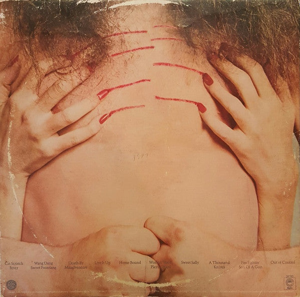 Release: Cat Scratch Fever-Vinyl-US-1977-JE 34700, 34700-8072099