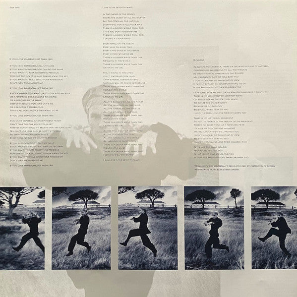 The Dream Of The Blue Turtles