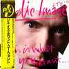 Public Image Limited - This Is What You Want... This Is What You Get (Vinyl, LP, Album) Very Good (VG) / Very Good Plus (VG+)