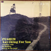 Pushim - Anything For You (10