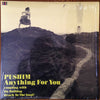 Pushim - Anything For You (Vinyl, 10