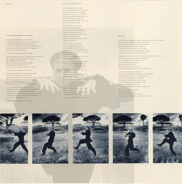 The Dream Of The Blue Turtles