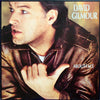 David Gilmour - About Face (Vinyl, LP, Album) Very Good (VG) / Good Plus (G+)
