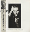 Sting - ...Nothing Like The Sun (2xVinyl, LP, Album, Stereo) Very Good Plus (VG+) / Very Good (VG)