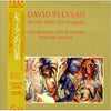 David Sylvian - Words With The Shaman (Vinyl, 12