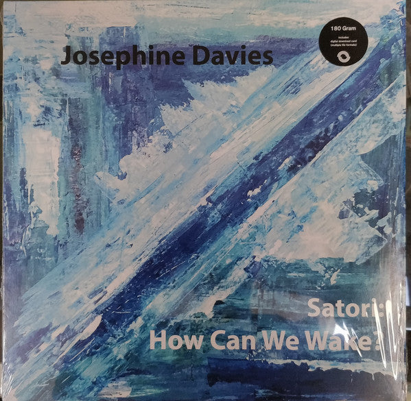 Satori: How Can We Wake?