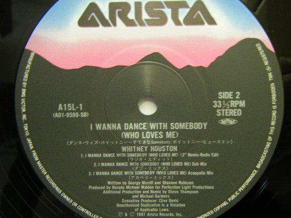 I Wanna Dance With Somebody (Who Loves Me)