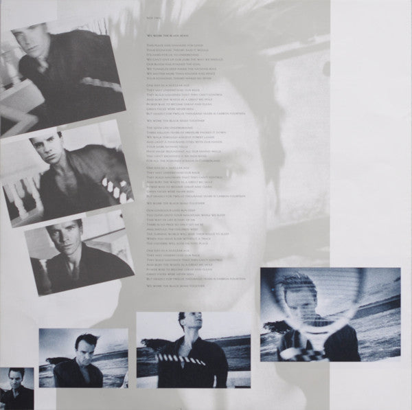 The Dream Of The Blue Turtles