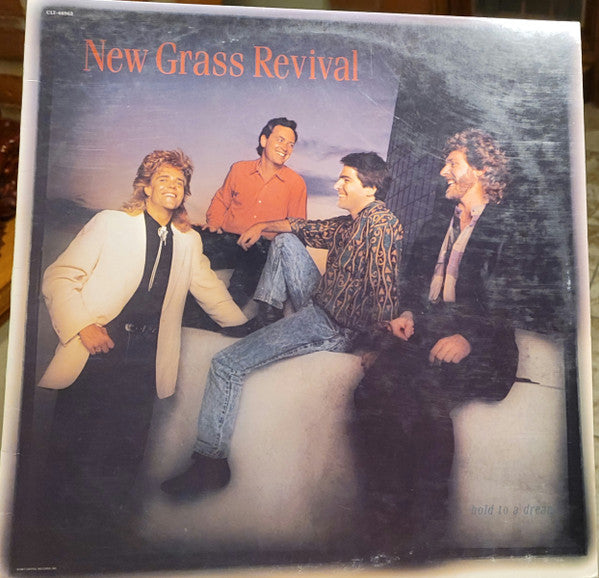 Master Release: Hold To A Dream by New Grass Revival