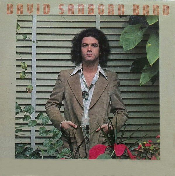 Master Release: Promise Me The Moon by David Sanborn Band