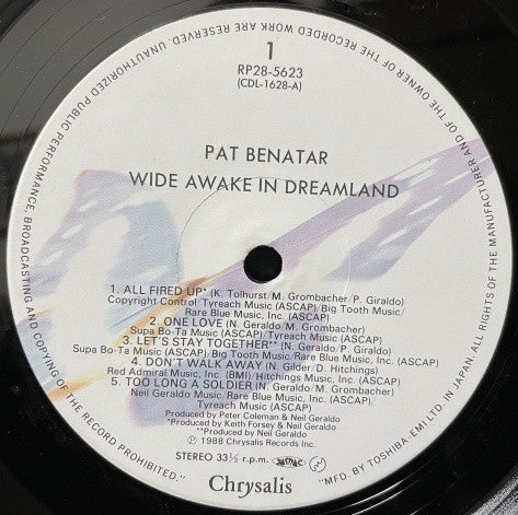 Wide Awake In Dreamland