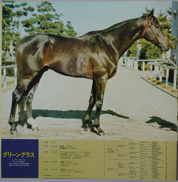 名馬わが愛 競馬史上最強世代の記録