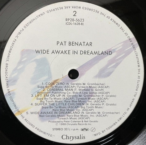 Wide Awake In Dreamland