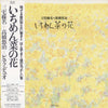 Haruna Miyake - いちめん菜の花 (LP) - Very Good Plus (VG+) / Very Good Plus (VG+)