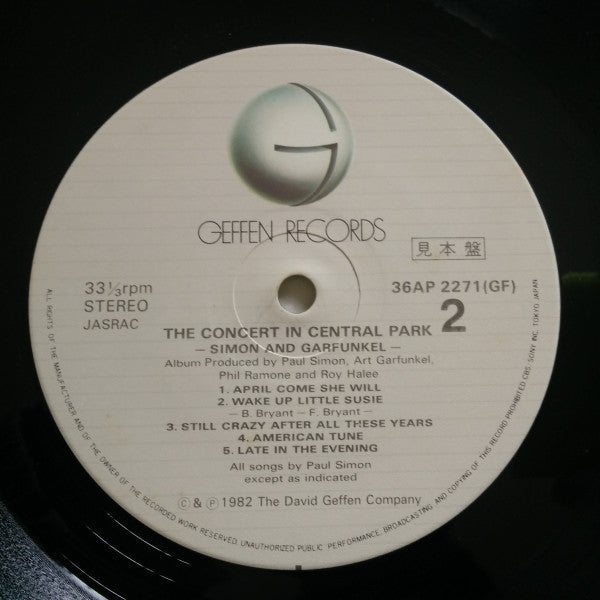 The Concert In Central Park