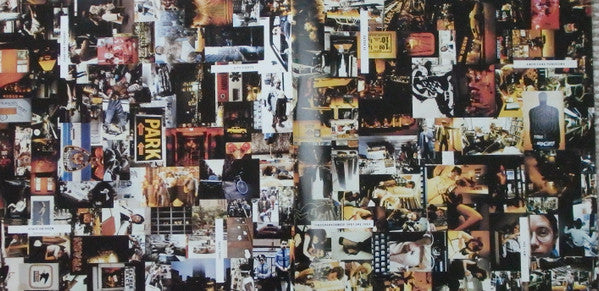 Windows In The Jungle