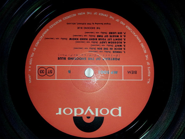 Portrait Of The Shocking Blue