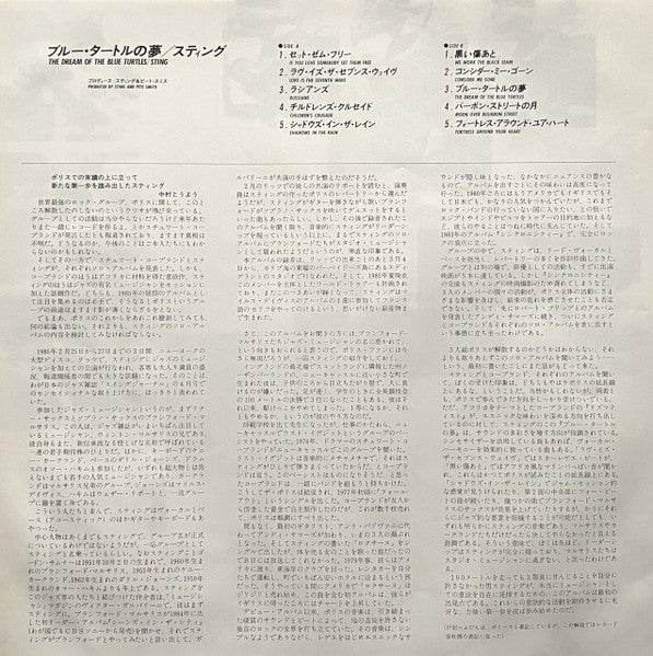 The Dream Of The Blue Turtles