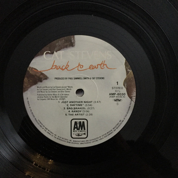 Back To Earth