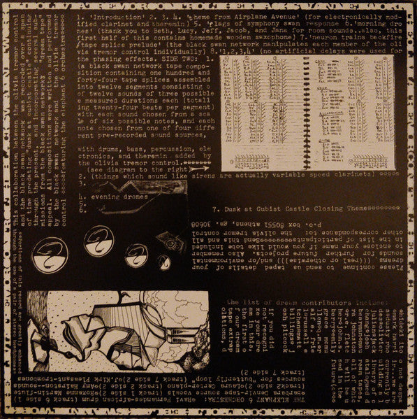 The Olivia Tremor Control/The Black Swan Network