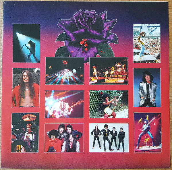 Black Rose (A Rock Legend)