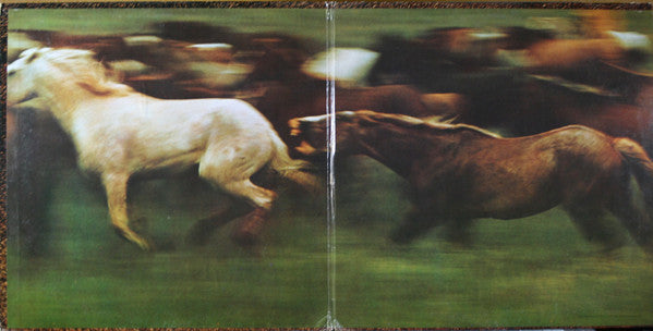 Bareback Rider