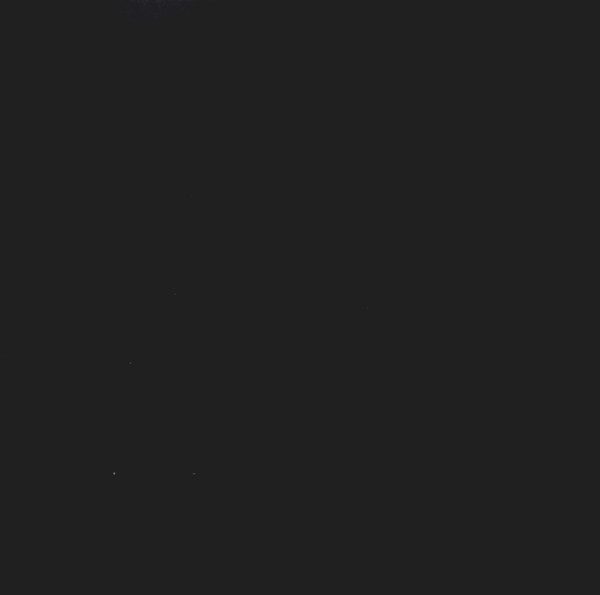 The Head On The Door