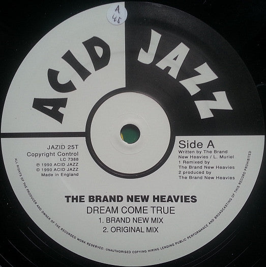 Dream Come True (Brand New Mix)