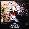 Peter Green (2) - The End Of The Game (LP, Album, Reissue, Stereo) - Very Good (VG) / Very Good (VG)