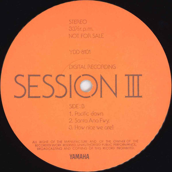 Session III