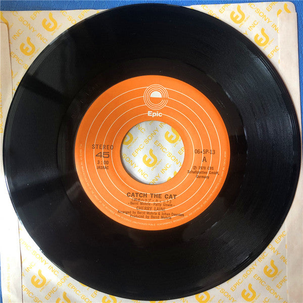 誘惑のラブ・キャット = Catch The Cat