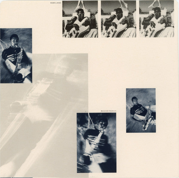 The Dream Of The Blue Turtles