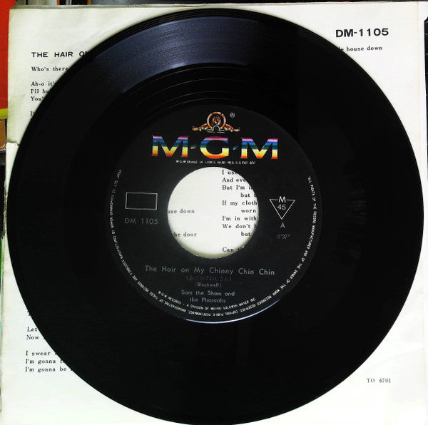 The Hair On My Chinny Chin Chin