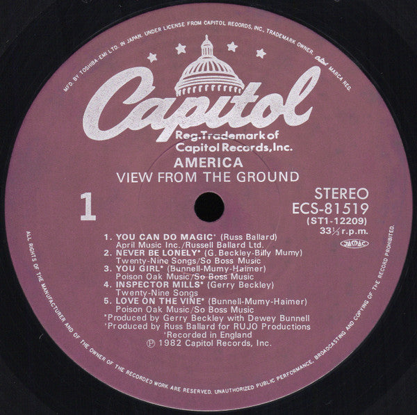 View From The Ground